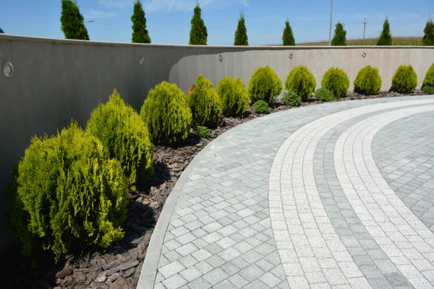 Best Driveway Pavers Cost  in Honsville, GA